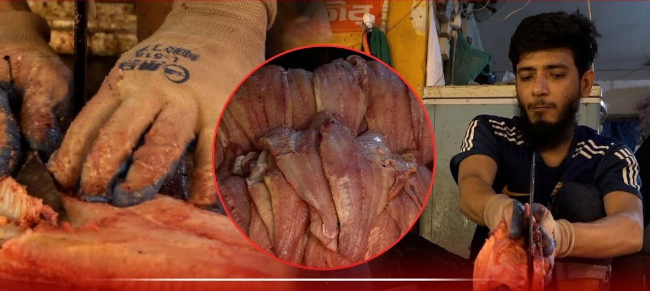 ডরি ফিসের নামে কী খাচ্ছেন? বাজারে 'ডরি ফিস' খুঁজতে গিয়ে সামনে এলো ভয়ংকর তথ্য!(ভিডিও)